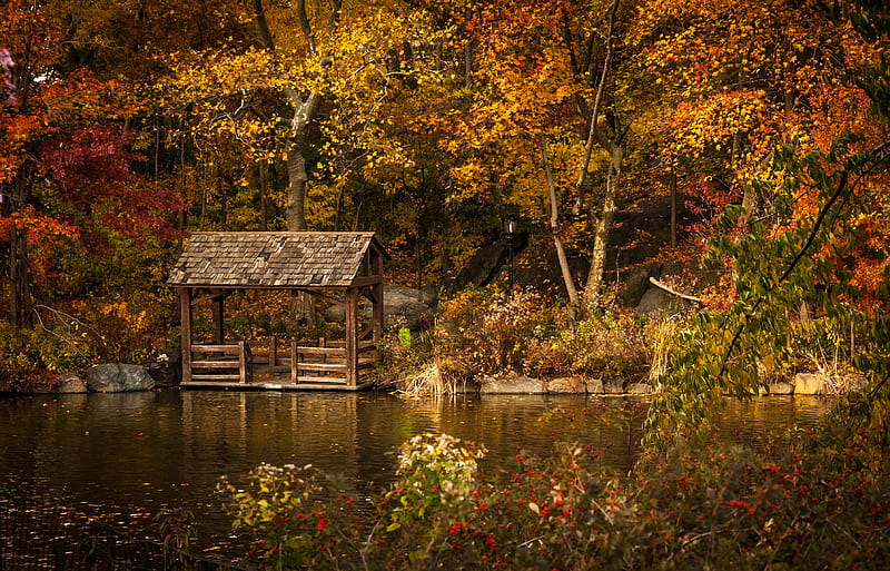 lake garden with shed, HD wallpaper
