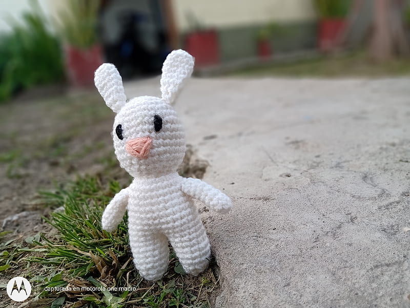 Conejo, crochet, HD wallpaper