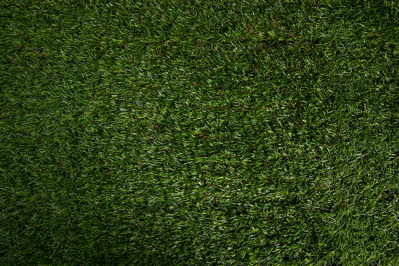 lawn, grass, texture, artificial, green, HD wallpaper
