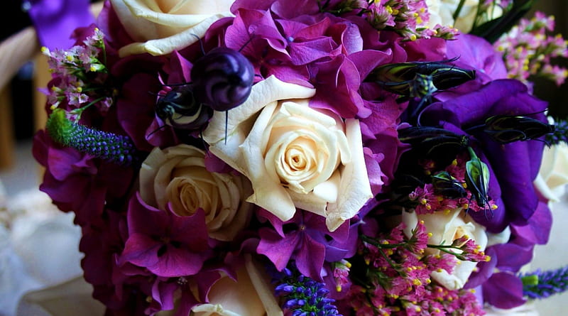 Assorted Bouquet, BEAUTY, NATURE, ROSES, FLOWERS, HD wallpaper | Peakpx