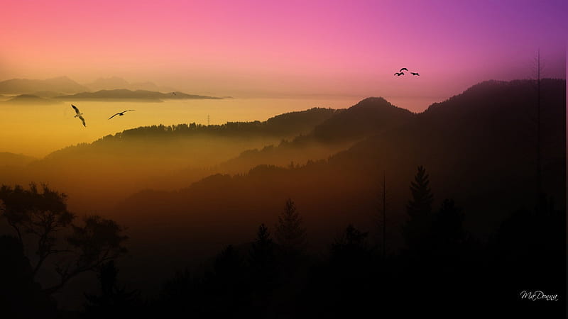 Twilight Over the Water, forest, foggy, flight, birds, sunset, twilight, trees, sky, fog, mist, mountains, soar, evening, HD wallpaper