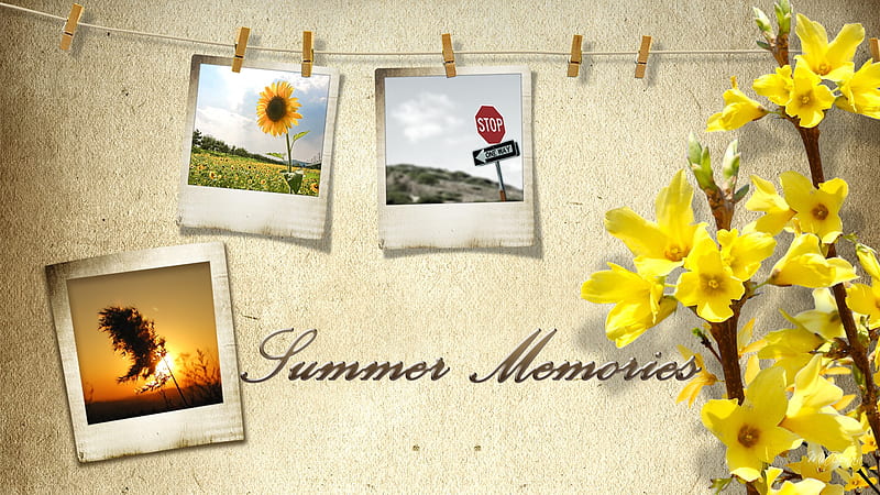 Summer Memories firefox persona, sunset, spring, forsythia, stop sign, summer, flowers, clothes line, HD wallpaper