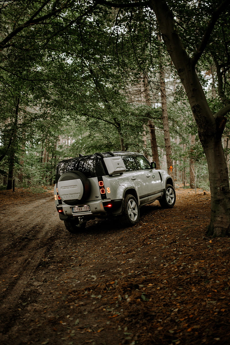 land rover, car, suv, rear view, forest, HD phone wallpaper