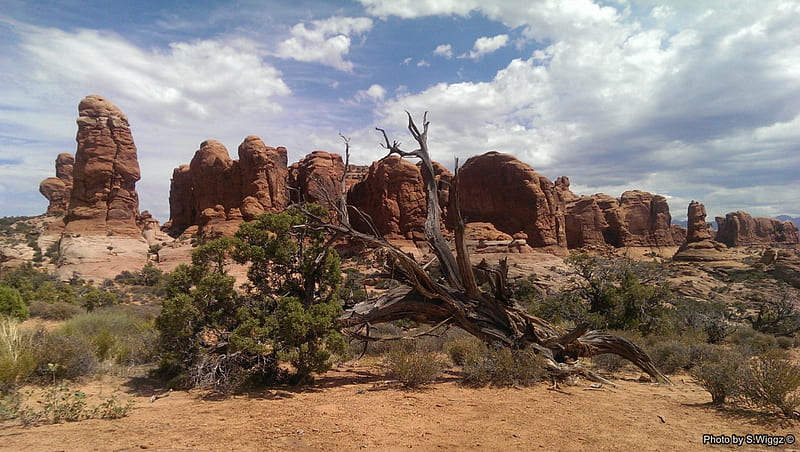 Moab, Utah, Moab, Sky, Clouds, Tree, Nature, Utah, HD wallpaper