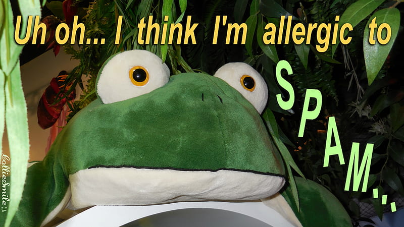 Way Too Much Spam... :P, allergic, leaves, green frog, Spam, allergies, HD wallpaper