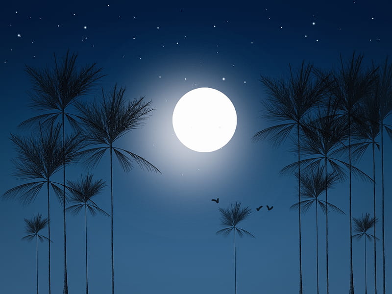 Moonlight, sky, blue, krishna kale, palm tree, night, moon, luminos, silhouette, vara, moon, fantasy, HD wallpaper