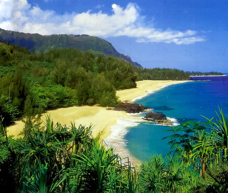 Lumahai Beach Kauai North Coast Hawaii, polynesia, palm, lumahai, sea, beach, sand, polynesian, exotic, islands, ocean, hawaii, trees, paradise, island, tropical, kauai, hawaiian, HD wallpaper