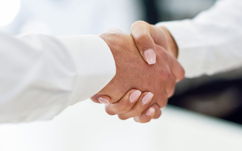 handshake business people, conclusion of deal, conclusion of contract, business concepts, businessmen, business handshake, HD wallpaper