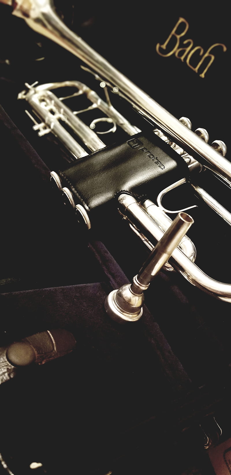 Stradalin, trumpet, bach, music, instrument, silver, band, marching band, HD phone wallpaper