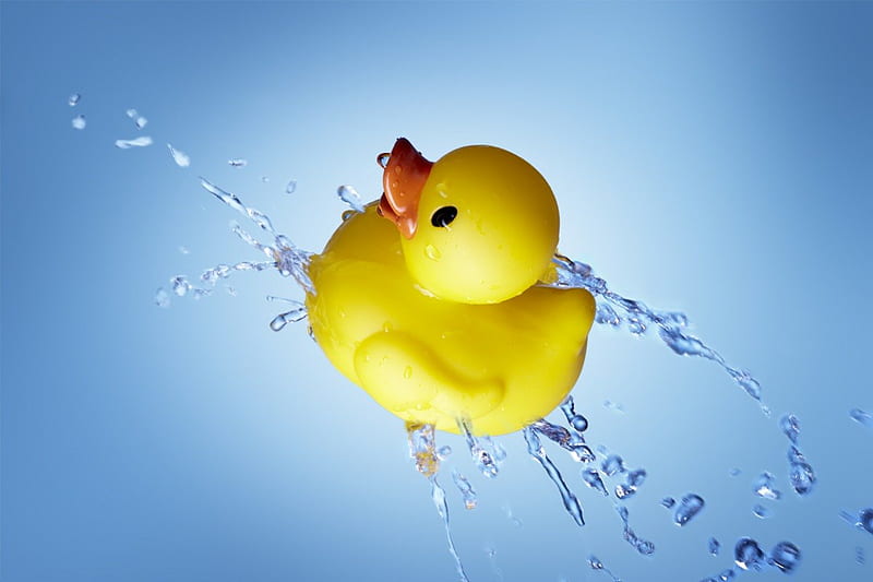 Rubber duck, bath, water, rubber, duck, HD wallpaper