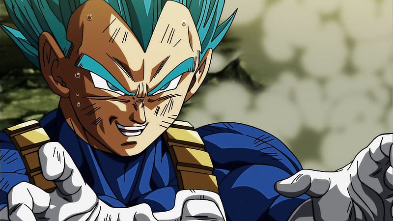 Vegeta  Anime dragon ball super, Anime dragon ball, Vegeta