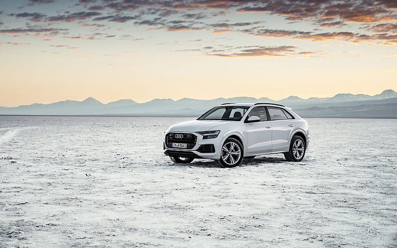 Audi Q8, offroad, 2019 cars, desert, white Q8, german cars, SUVs, Audi, HD wallpaper