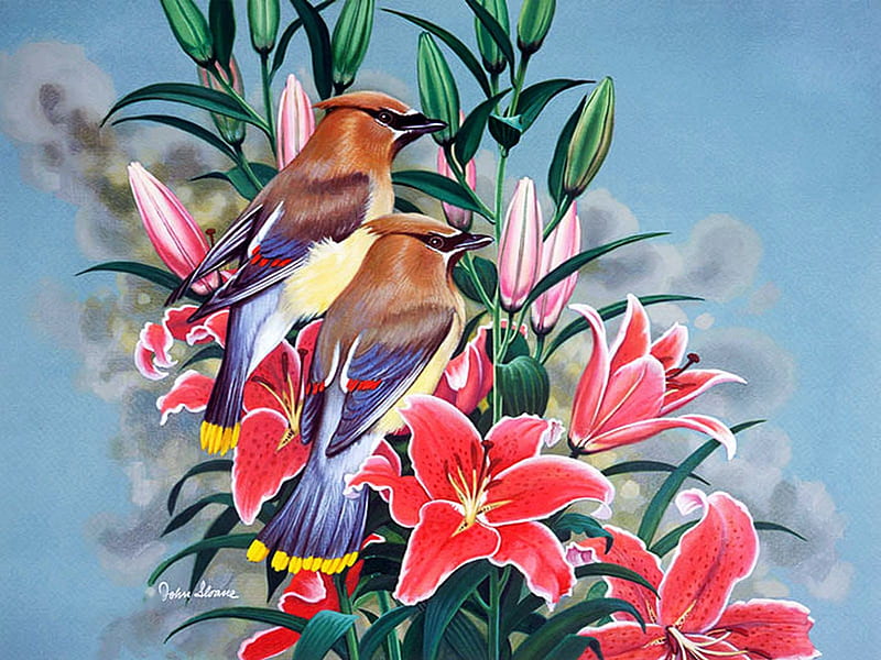 Cedar Waxwings, flowers, birds, painting, blossoms, lilies, HD wallpaper