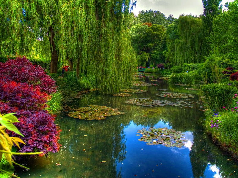 Claude Monet Gardens, pond, garden, water, green, HD wallpaper