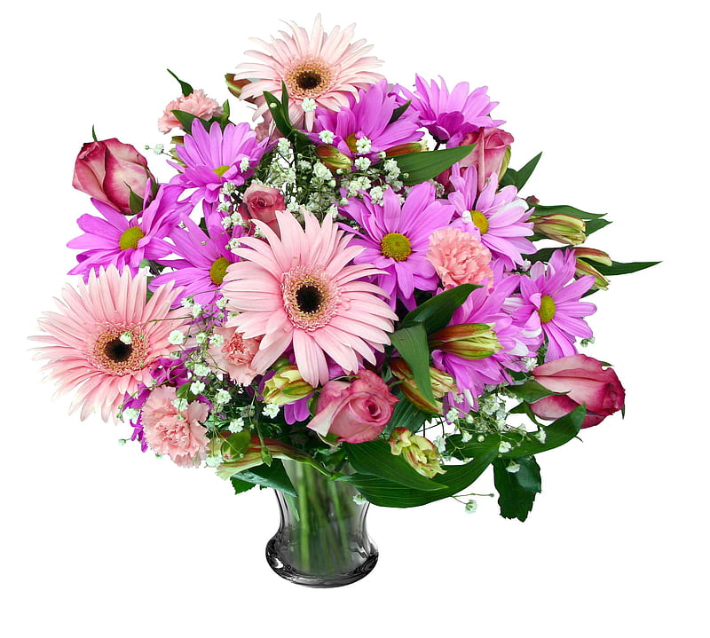 Feliz cumpleaños (para mi hermana - fran), feliz cumpleaños, hermosas  flores, Fondo de pantalla HD | Peakpx