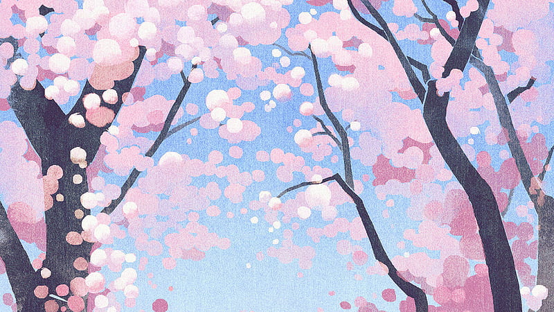 Cute Pink Cherry Blossoms, Pink iMac, HD wallpaper
