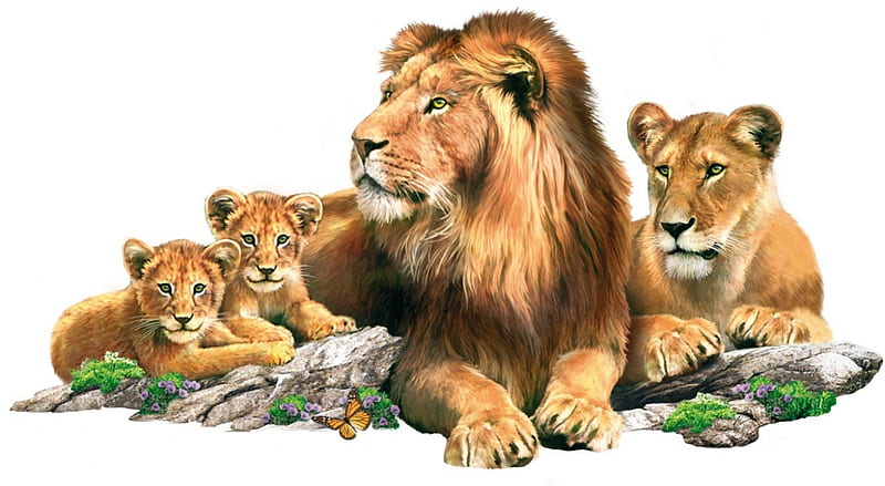 Lion pack, family, art, cub, cubs, lioness, lion, HD wallpaper