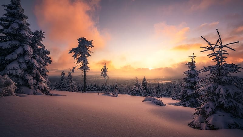 Winter Sunset In The Harz Mountains, Germany, snow, clouds, colors, trees, landscape, sky, mountains, HD wallpaper