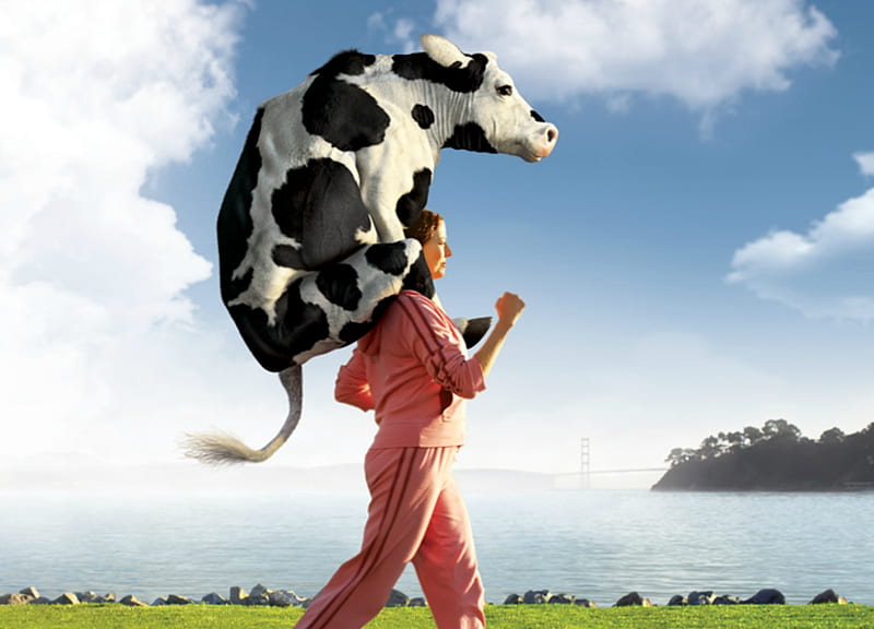 Hard jogging, cow, woman, situation, animal, jogging, vaca, funny, pink, blue, HD wallpaper