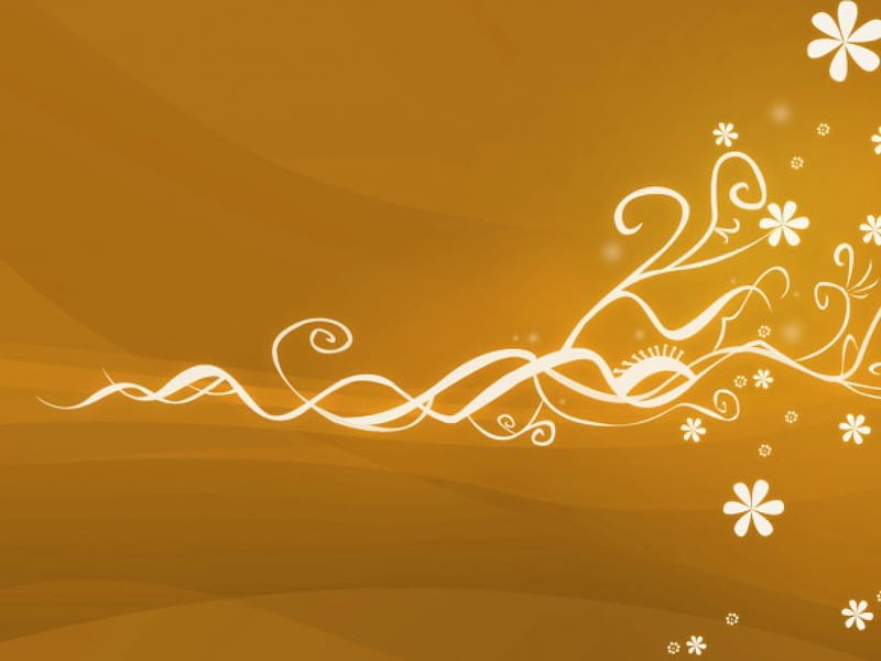 Orange flow, orange, vector, HD wallpaper | Peakpx