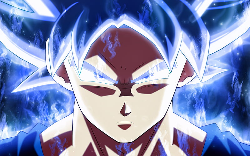  Ultra Instinct Goku Dragon Ball, Migatte No Gokui, retrato, Mastered Ultra Instinct, Fondo de pantalla HD |  Picopx