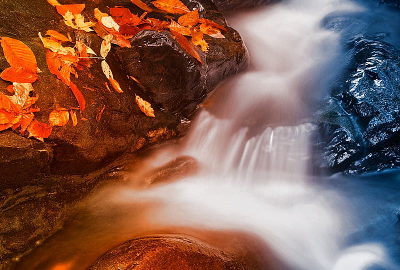 Patapsco valley state park, cascades, river, usa, maryland, HD wallpaper