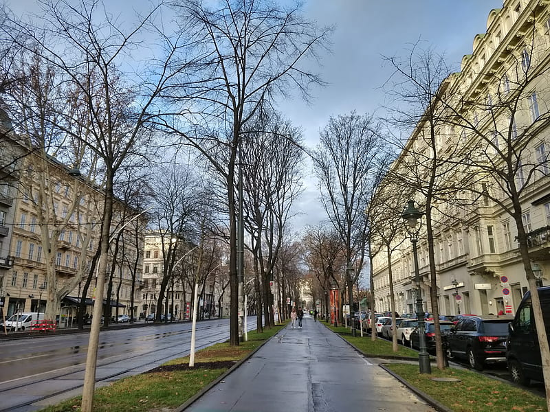 Rainy Street, architecture, autumn, city, rain, vienna, HD wallpaper