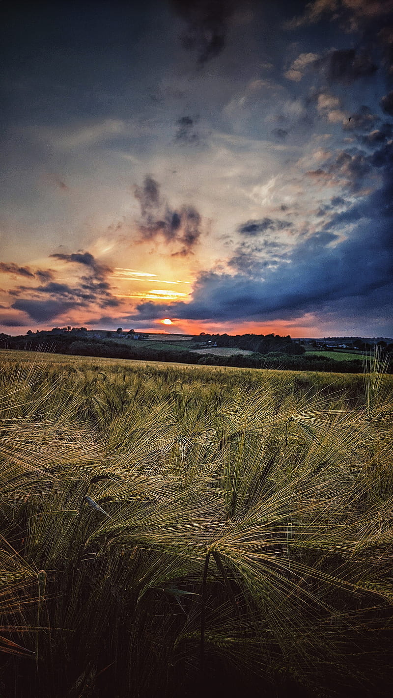 Barlow Barley , clouds, derbyshire, farm field, farmland, heavy sky, scenic, sunset, HD phone wallpaper