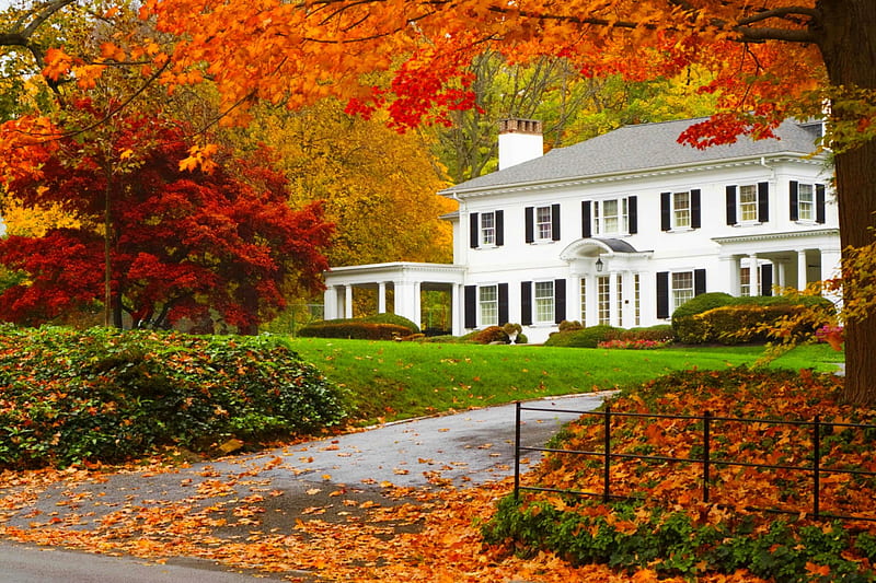 Fall home, fall, autumn, house, home, bonito, park, foliage, countryside, leaves, alleys, HD wallpaper