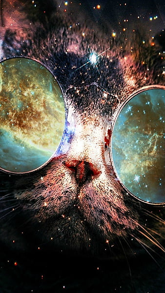 Galaxy Cat Wallpaper 69 images