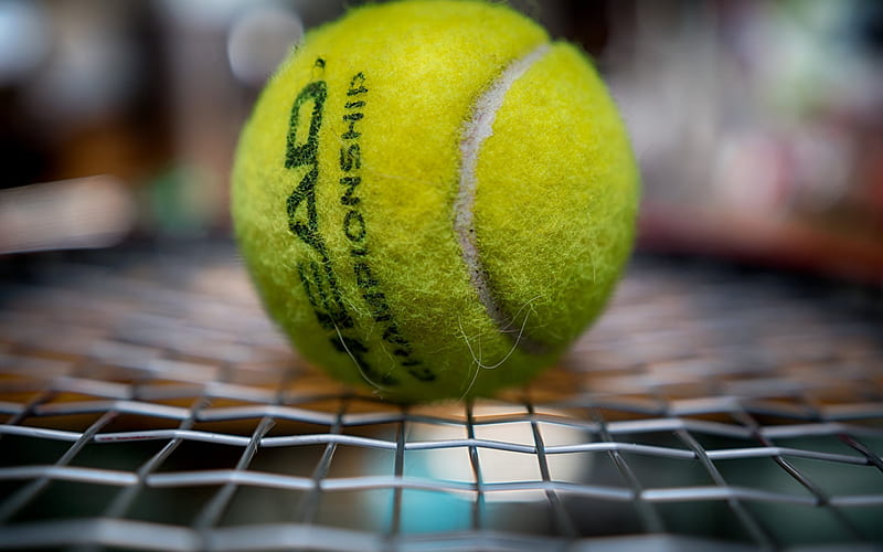 tennis ball, tennis, tennis racket, HD wallpaper