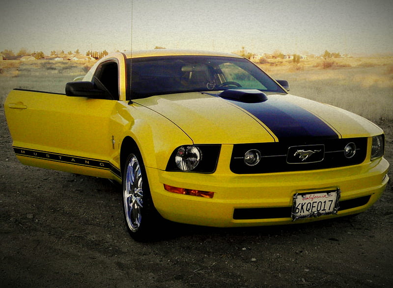 Mustang Yellow, custom, HD wallpaper