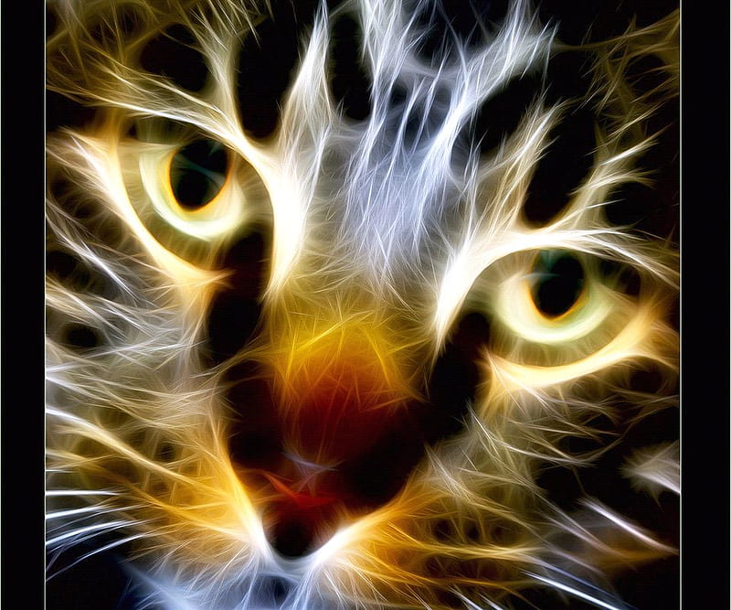 Fractal cat, face, bonito, cat, fractal, HD wallpaper