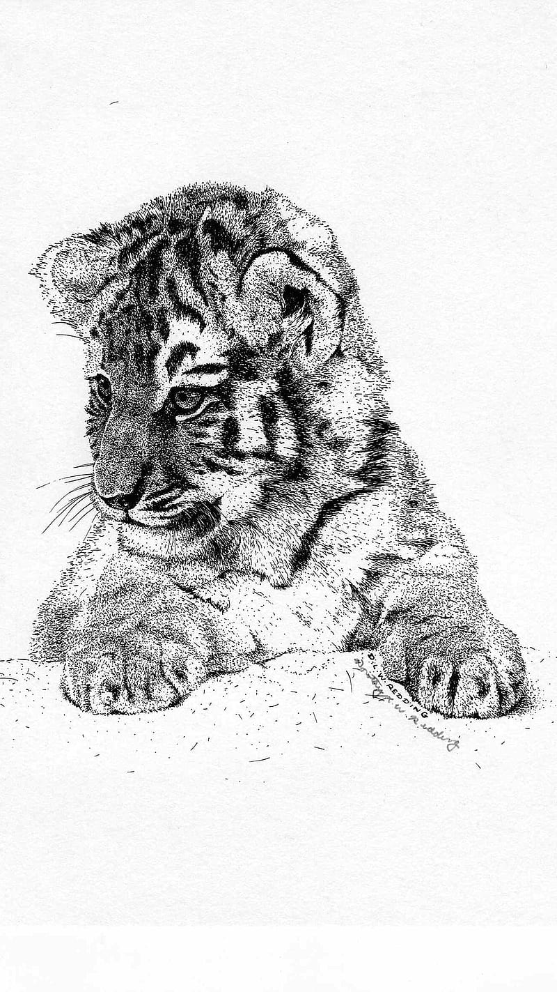 Tiger cub, panther, pink, HD phone wallpaper