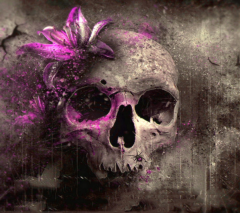 Skull Head, dead skull head, purple flower grungy, HD wallpaper