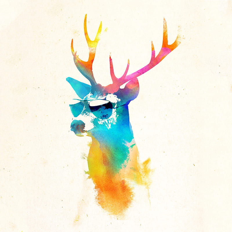 deer with glasses, alce, cierv, ciervocongafas, cool, deer, funny, gafas, glasses, lentes, retro, HD phone wallpaper