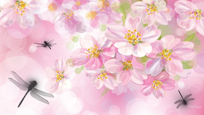 Treat For Dragonflies, dragonflies, Sakura, dragonfly, flowers, spring, pink, apple blossoms, cherry blossoms, HD wallpaper