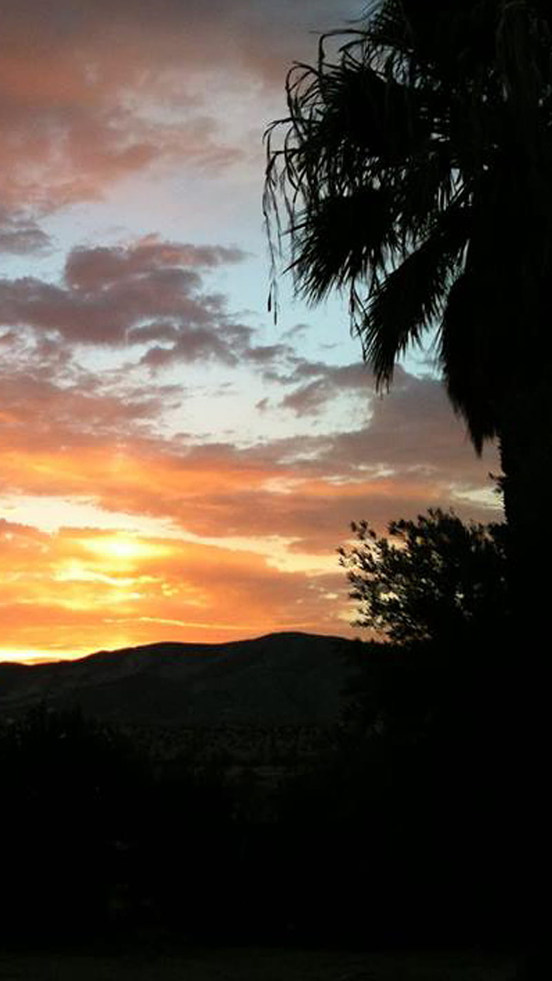 Southern Cali Sunset, bonito, moutains, palm trees, so cal, sunsets, vistas, HD phone wallpaper