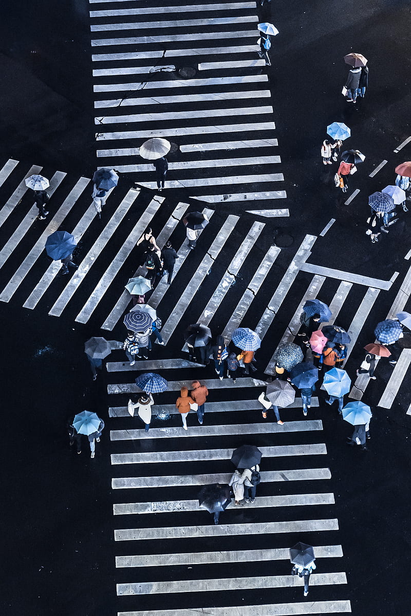 group of people crossing pedestrian lane, HD phone wallpaper