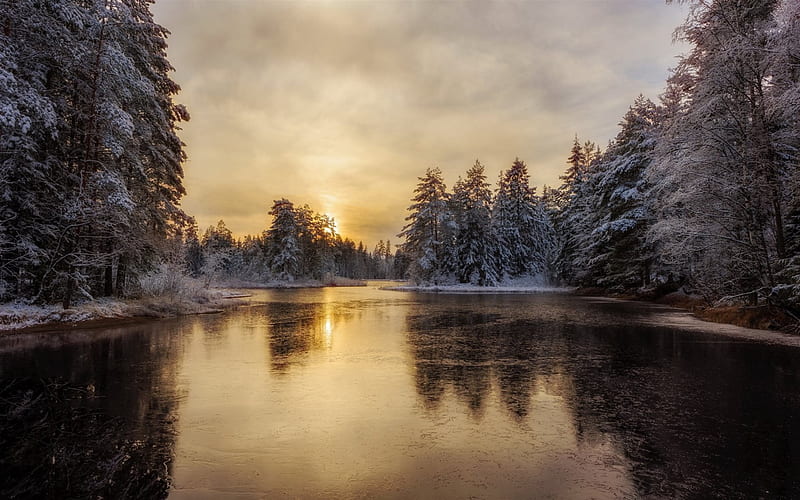 forest, winter, snow, morning, frozen river, ice, wounds, HD wallpaper
