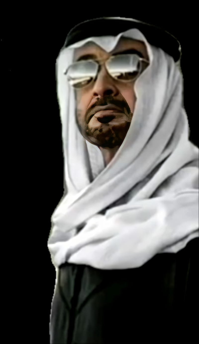 MBZ, arab, bin, leader, mohamed, sheikh, uae, zayed, HD phone wallpaper