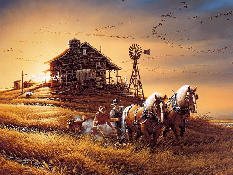 farm land, farm, autumn, land, tradition, HD wallpaper