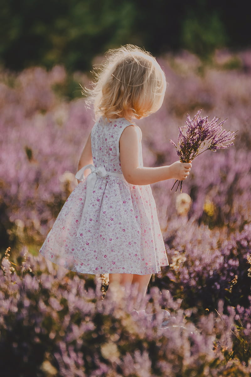 child, flowers, lavender, bouquet, field, HD phone wallpaper
