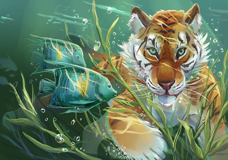 :), underwater, orange, fish, tiger, sea, vara, green, summer, tigru, blue, HD wallpaper