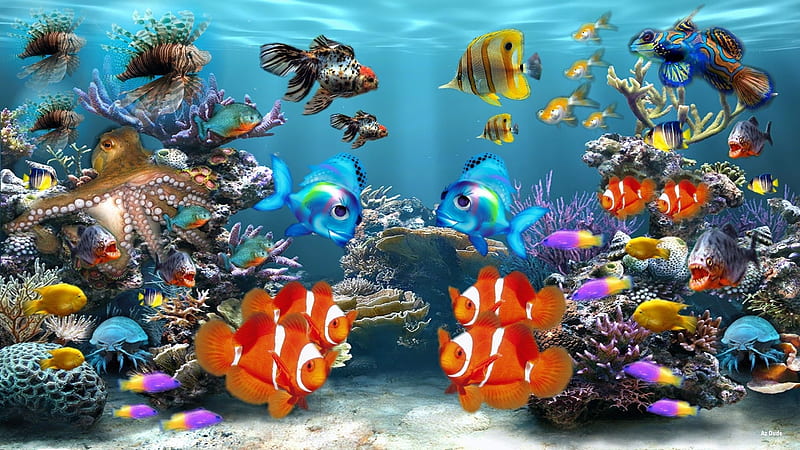 under the sea, clown fish, lion fish, water, octopus, coral, pihranna, HD wallpaper