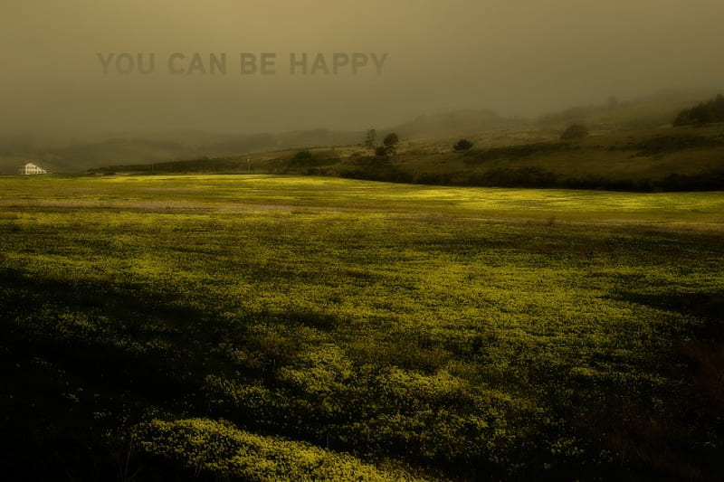 You Can Be Happy, morning, depressed, happiness, adult swim, HD wallpaper