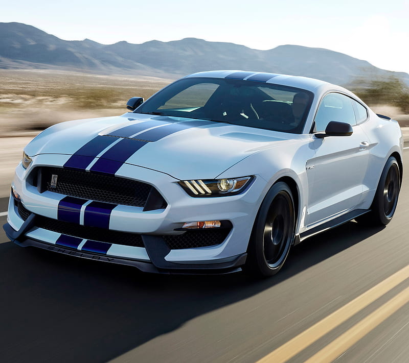 Shelby Mustang, auto, car, ford, road, stang, HD wallpaper