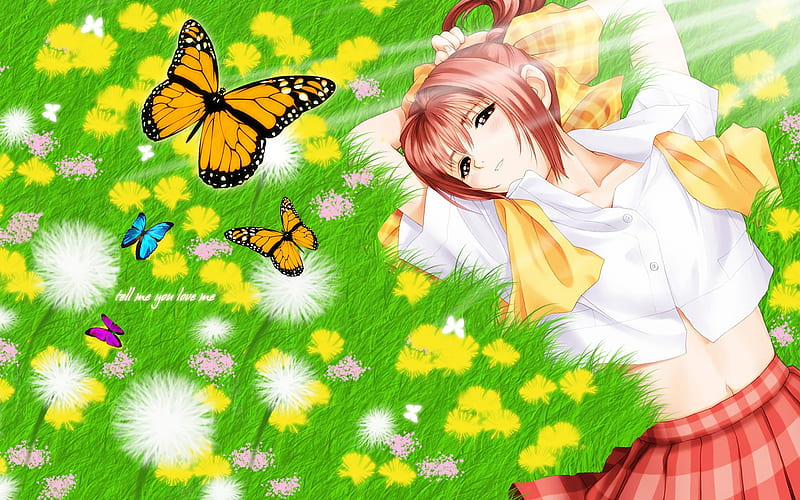 tell me you love me, flower, butterfly, grass, girl, HD wallpaper