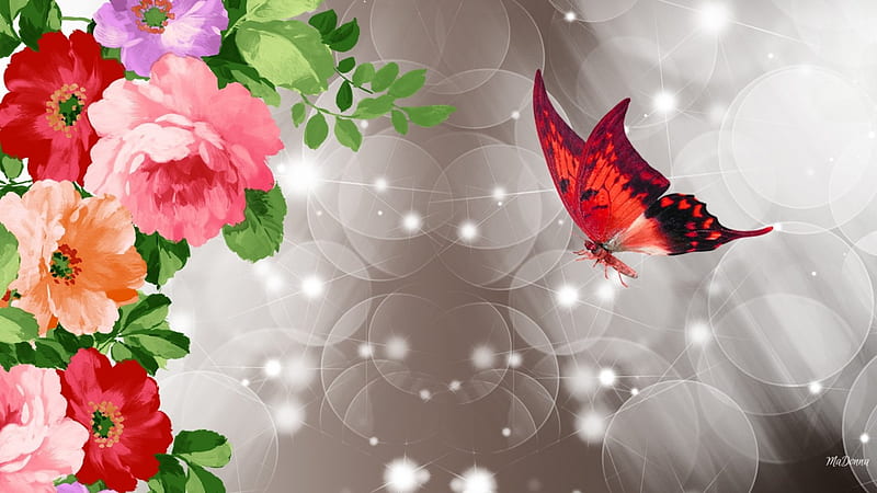 Wild Roses Red Butterfly, stars, shine, spring, roses, sparkle, butterfly, summer, blossoms, flowers, blooms, HD wallpaper