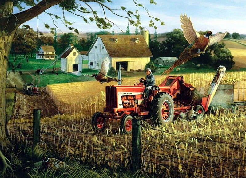 Working Tractor, countryside, fence, house, pheasants, man, artwork, field, HD wallpaper